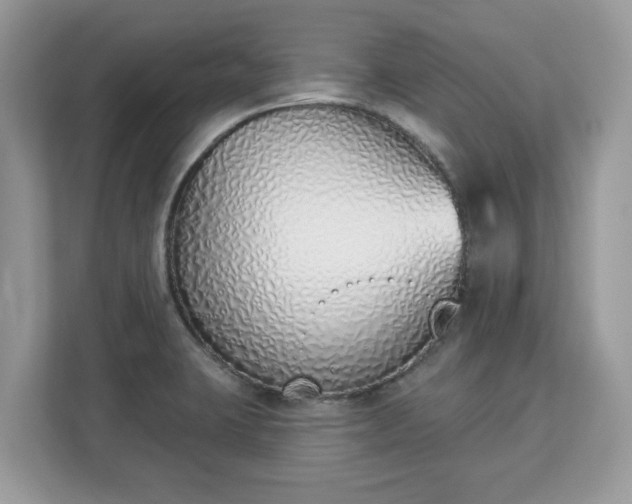 X0000112841423200908281543