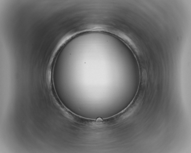 X0000112841424200908281543