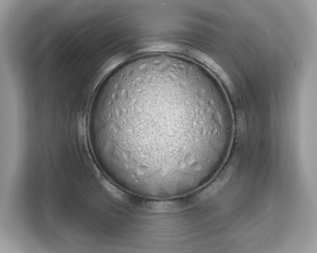 X0000112841425200908281543