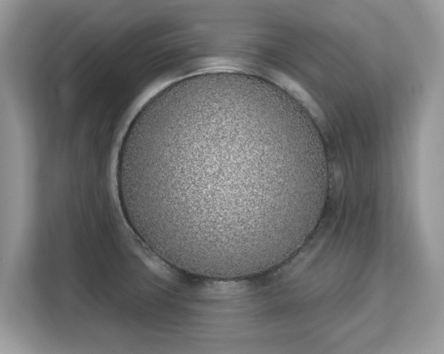 X0000112841427200908281543