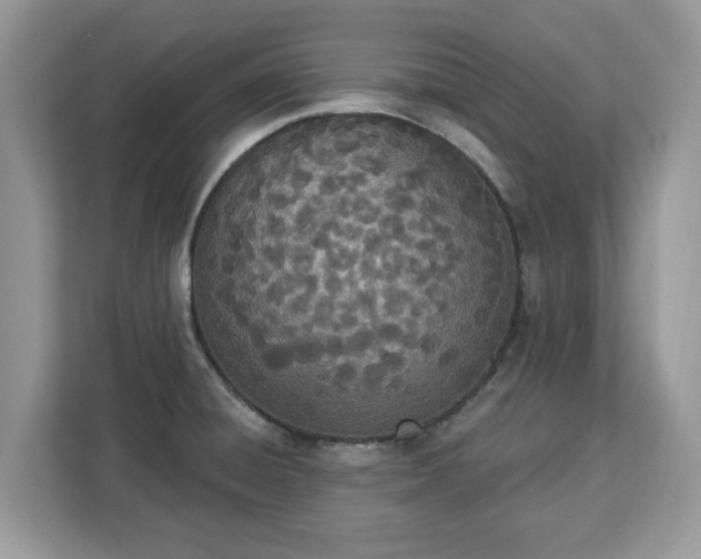 X0000112841428200908281543