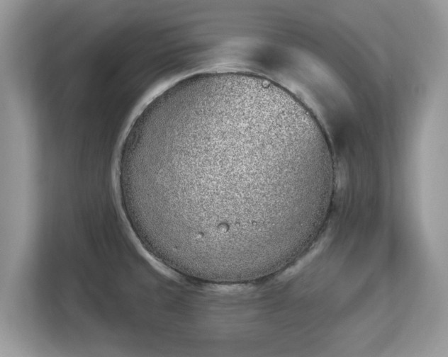 X0000112841429200908281543