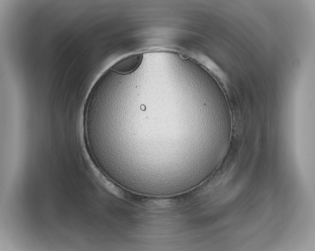 X0000112841431200908281543