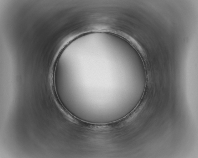 X0000112841432200908281543