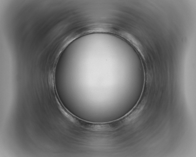 X0000112841433200908281543