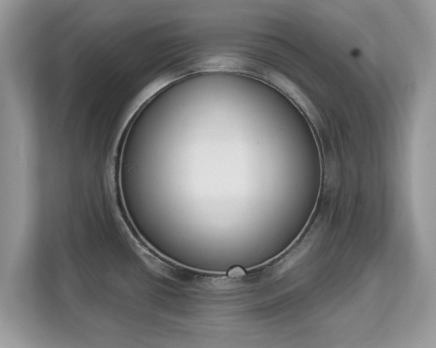 X0000112841434200908281543