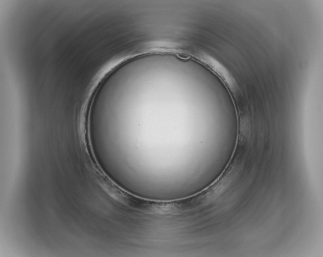 X0000112841435200908281543