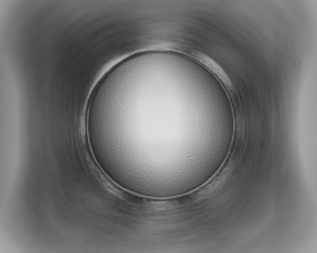 X0000112841436200908281543