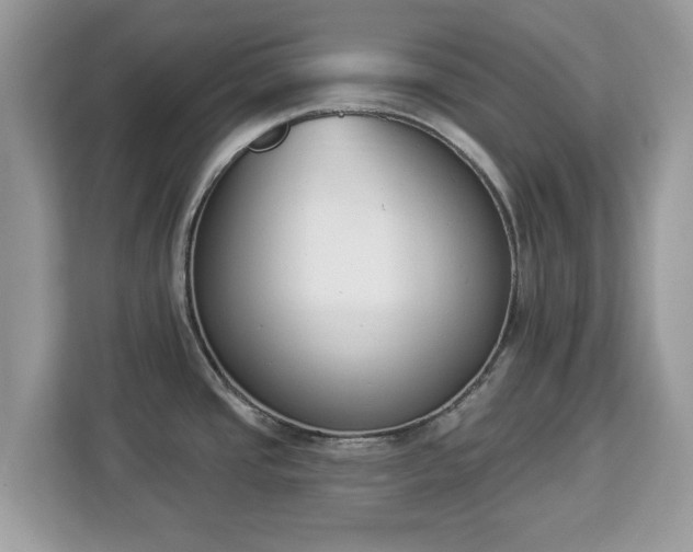 X0000112841437200908281543