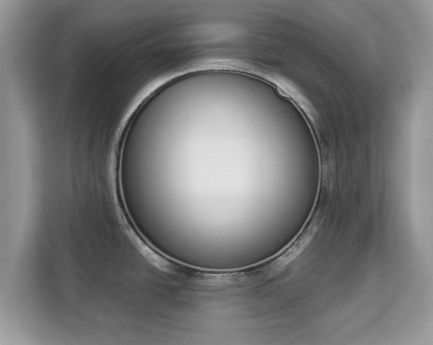 X0000112841438200908281543