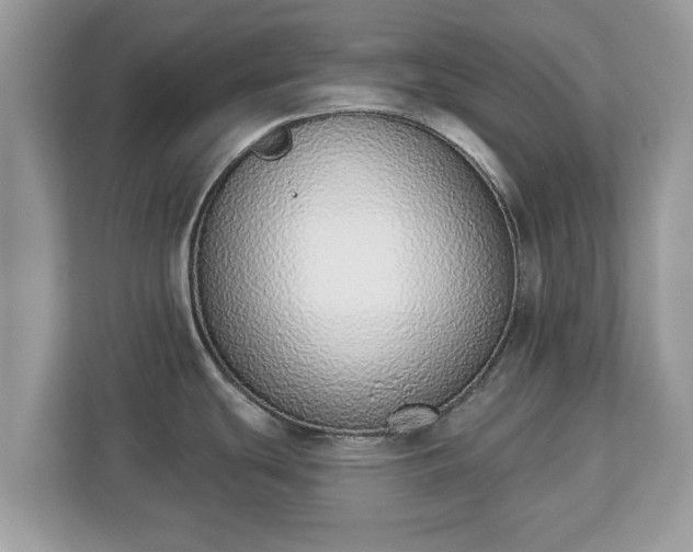 X0000112841439200908281543