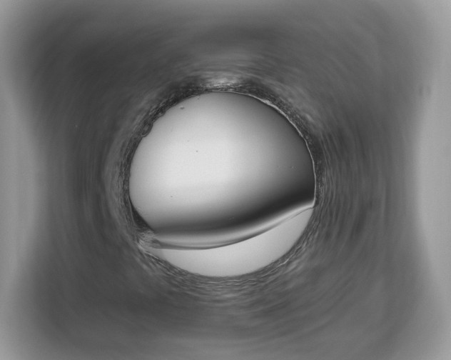 X0000112841441200908281542