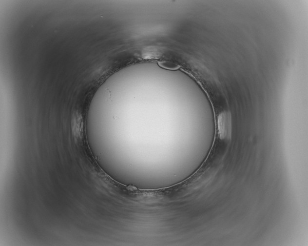 X0000112841443200908281542