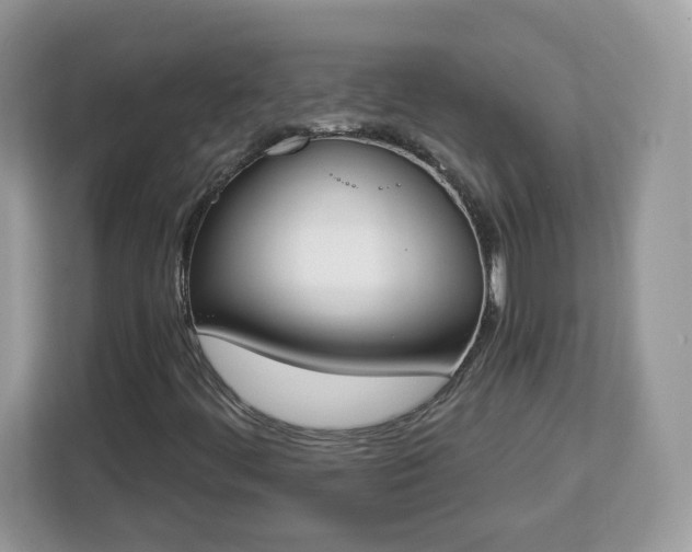 X0000112841444200908281542