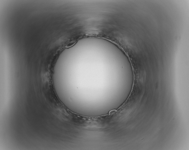 X0000112841445200908281542