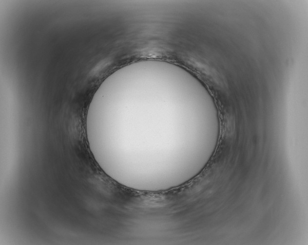 X0000112841446200908281542