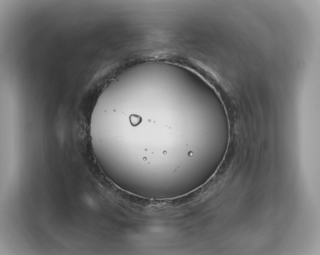 X0000112841447200908281542