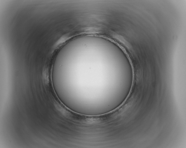 X0000112841451200908281542