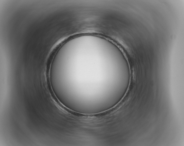 X0000112841452200908281542