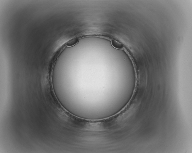 X0000112841453200908281542