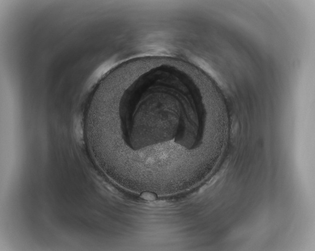 X0000112841455200908281542