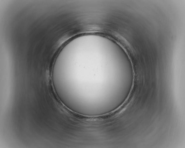 X0000112841457200908281542