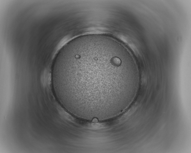 X0000112841459200908281542