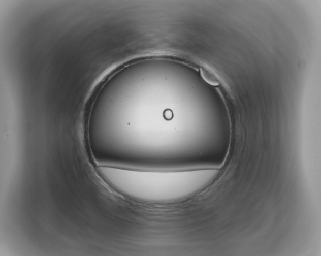 X0000112841460200908281542