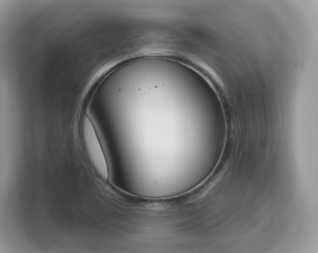 X0000112841461200908281542