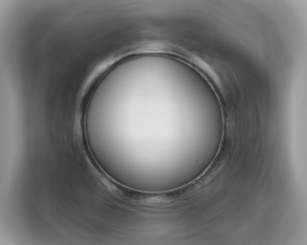 X0000112841464200908281542