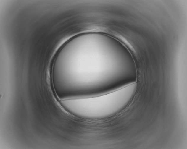 X0000112841468200908281542