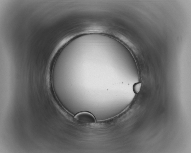 X0000112841469200908281542