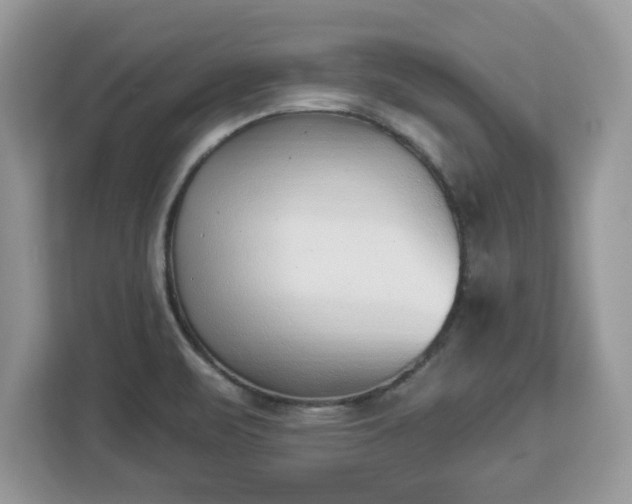 X0000112841471200908281542