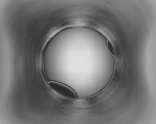 X0000112841477200908281542