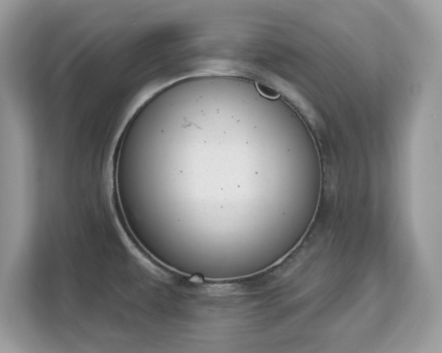 X0000112841479200908281542