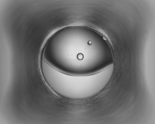 X0000112841480200908281542