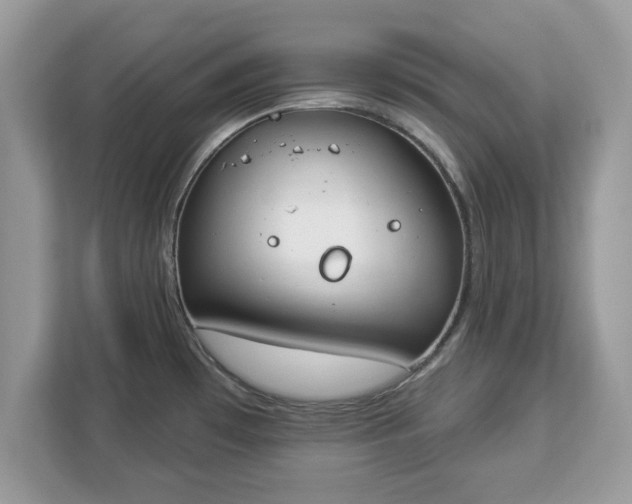 X0000112841481200908281542