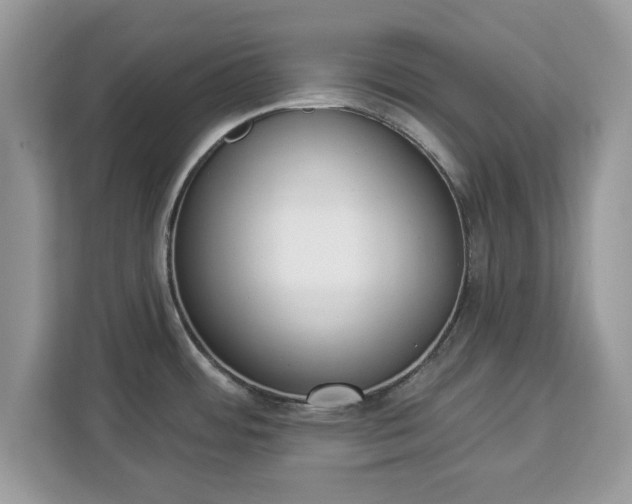 X0000112841484200908281542