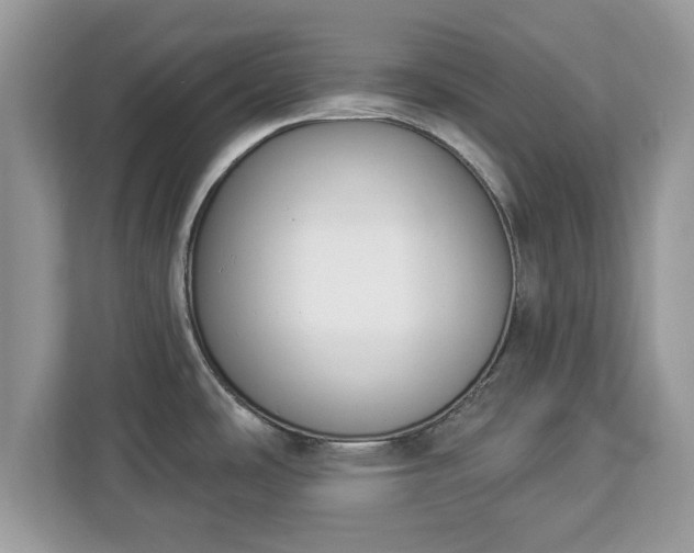 X0000112841486200908281542