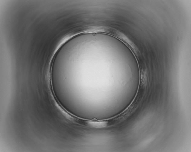 X0000112841487200908281542