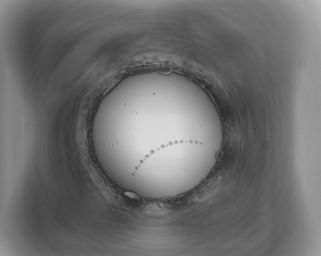 X0000112841489200908281541