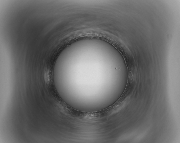 X0000112841490200908281541