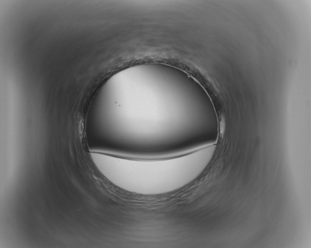 X0000112841492200908281541