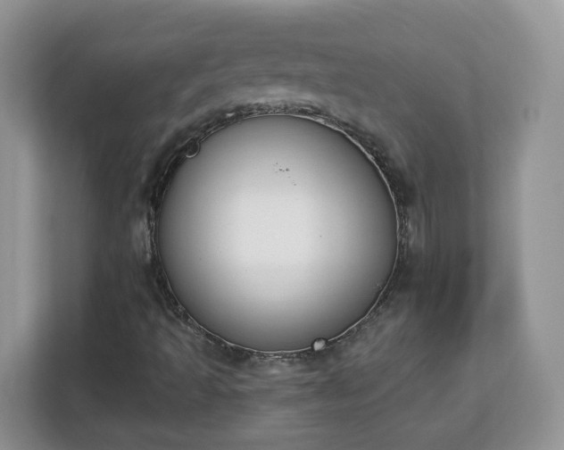 X0000112841493200908281541