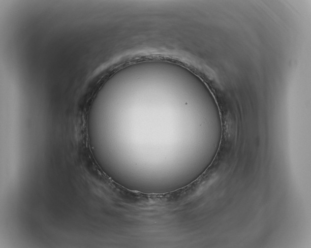 X0000112841494200908281541