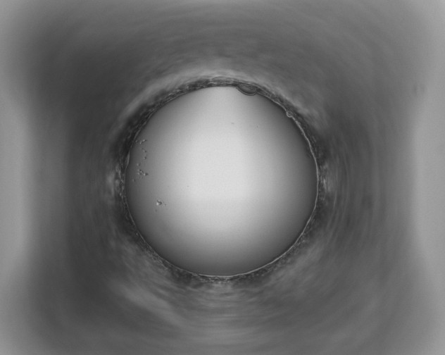 X0000112841495200908281541