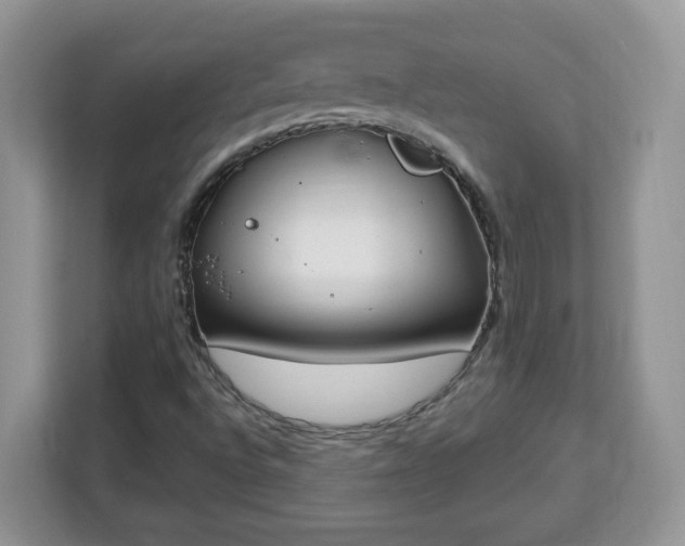 X0000112841496200908281541