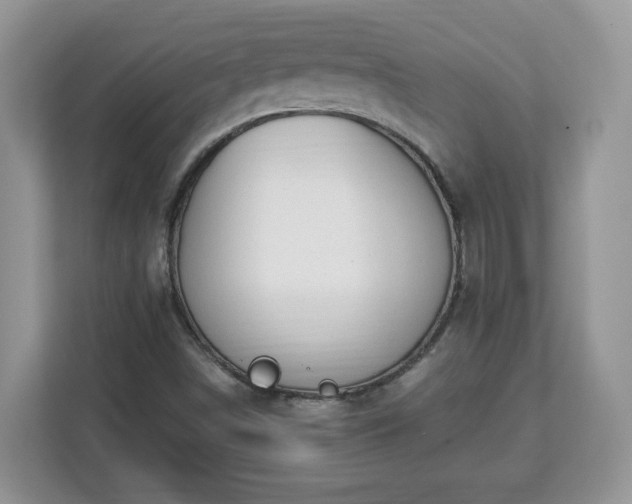 X0000112841498200908281541