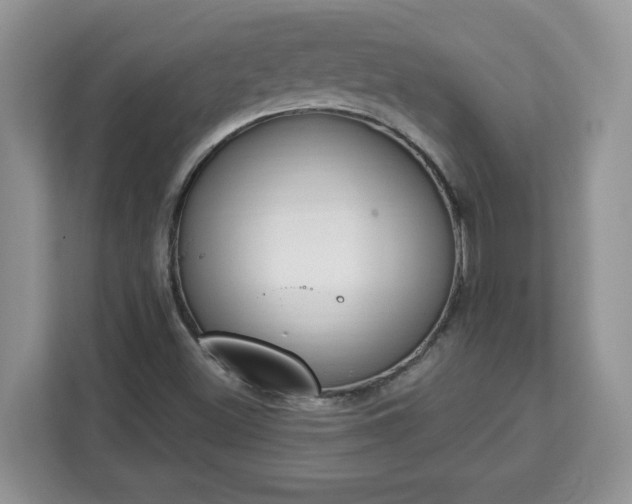 X0000112841500200908281541