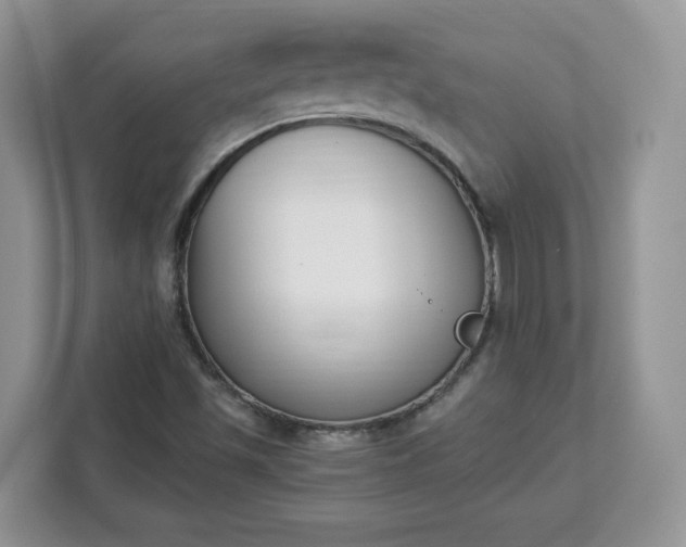 X0000112841501200908281541